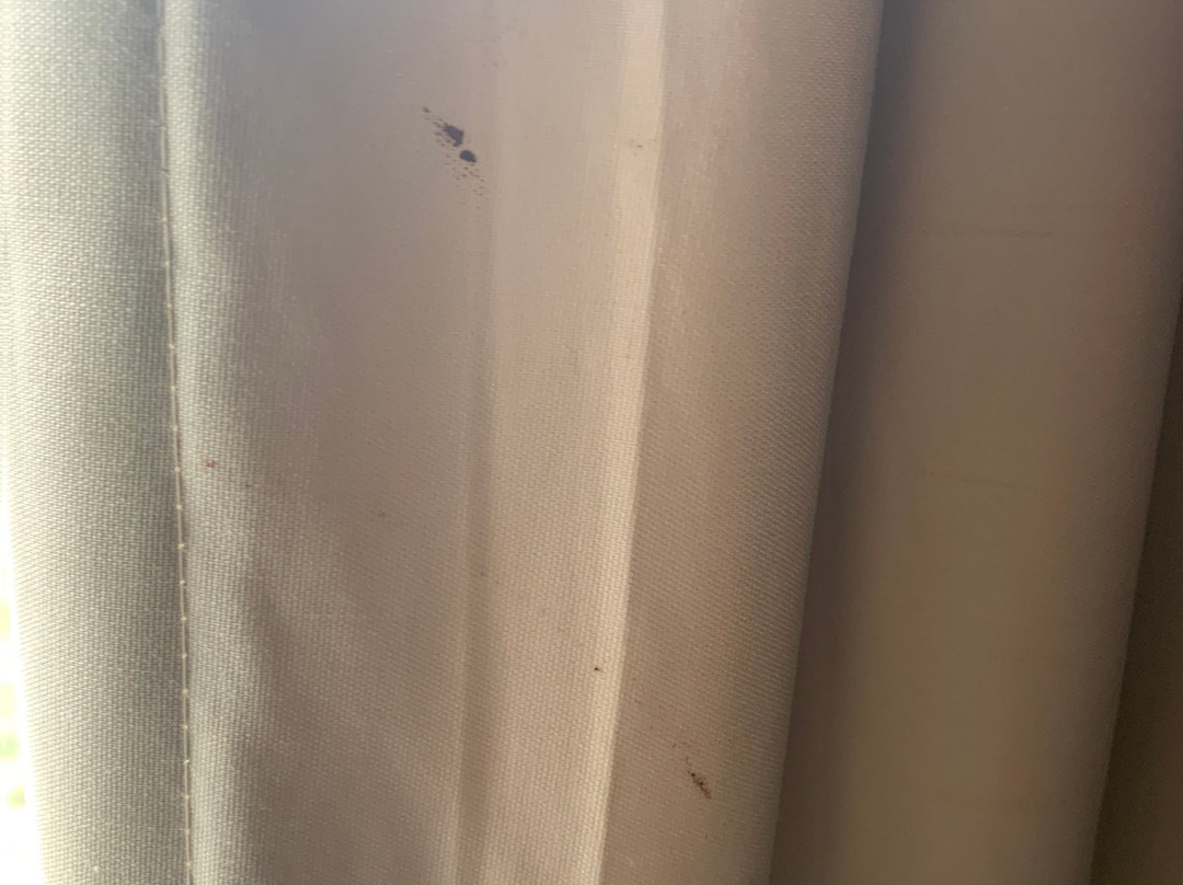 La Quinta Inn & Suites by Wyndham Smyrna TN - Nashville主图