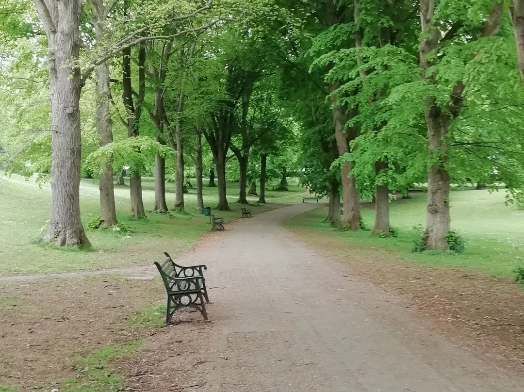 Ashcombe Park-滨海韦斯顿必去景点