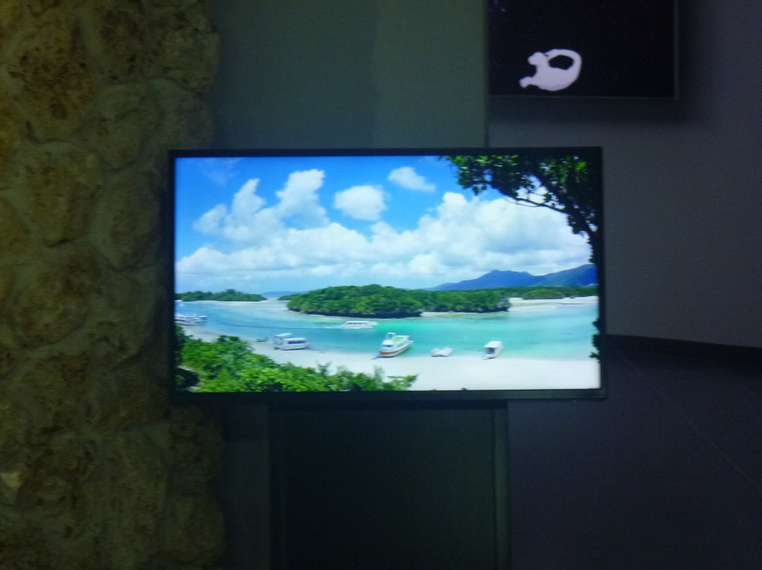 Ishigaki Island Hoshinoumi Planetarium景点图片