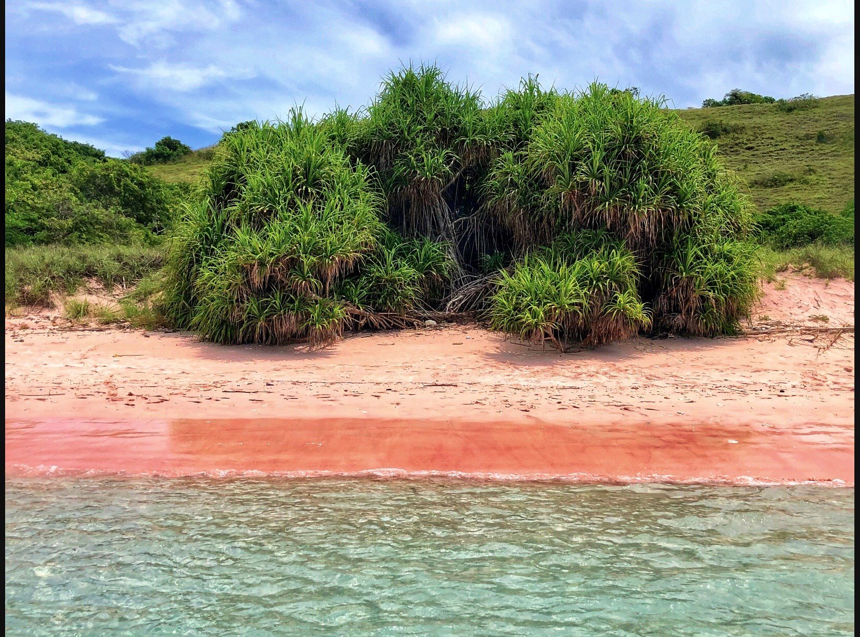 Bajo Dive Resort-官方