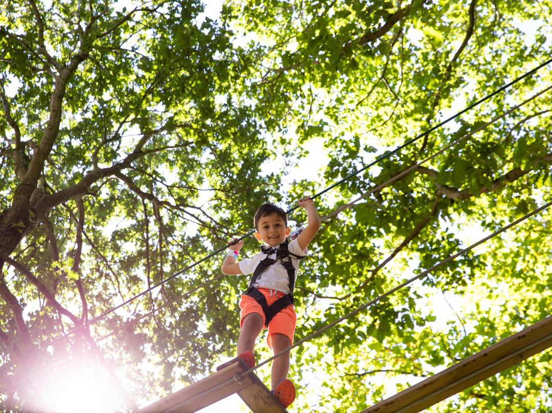 Go Ape Zipline & Adventure Park景点图片