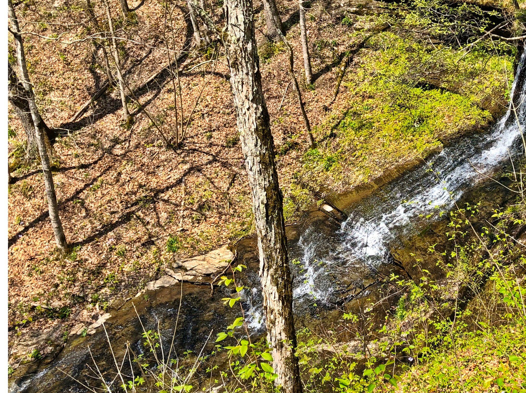 Fall Hollow Falls景点图片