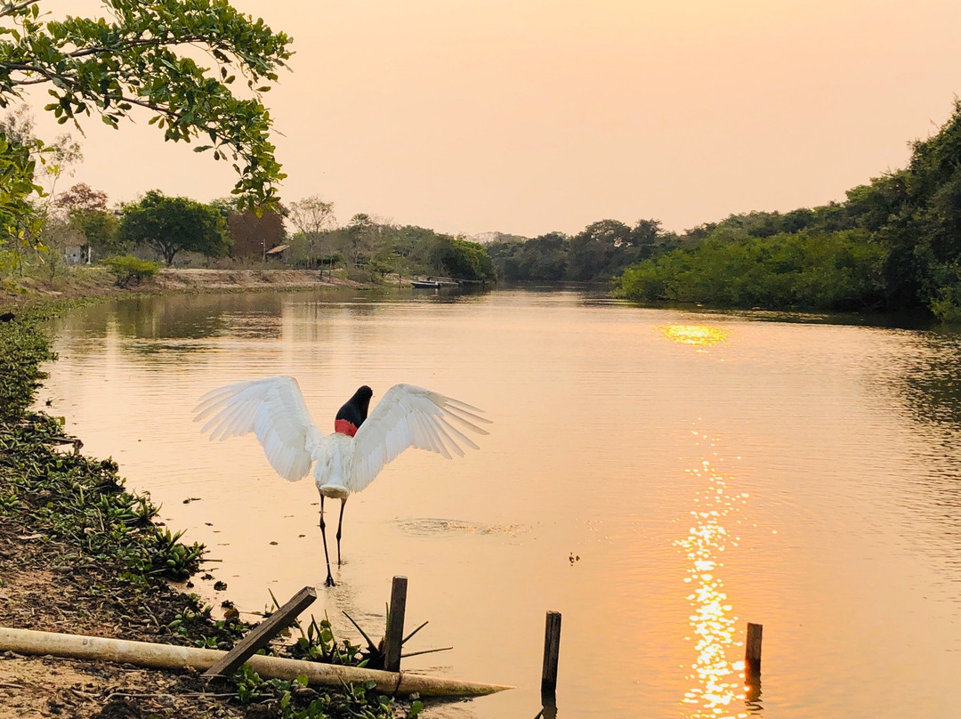Parque Estadual Encontro das Aguas景点图片