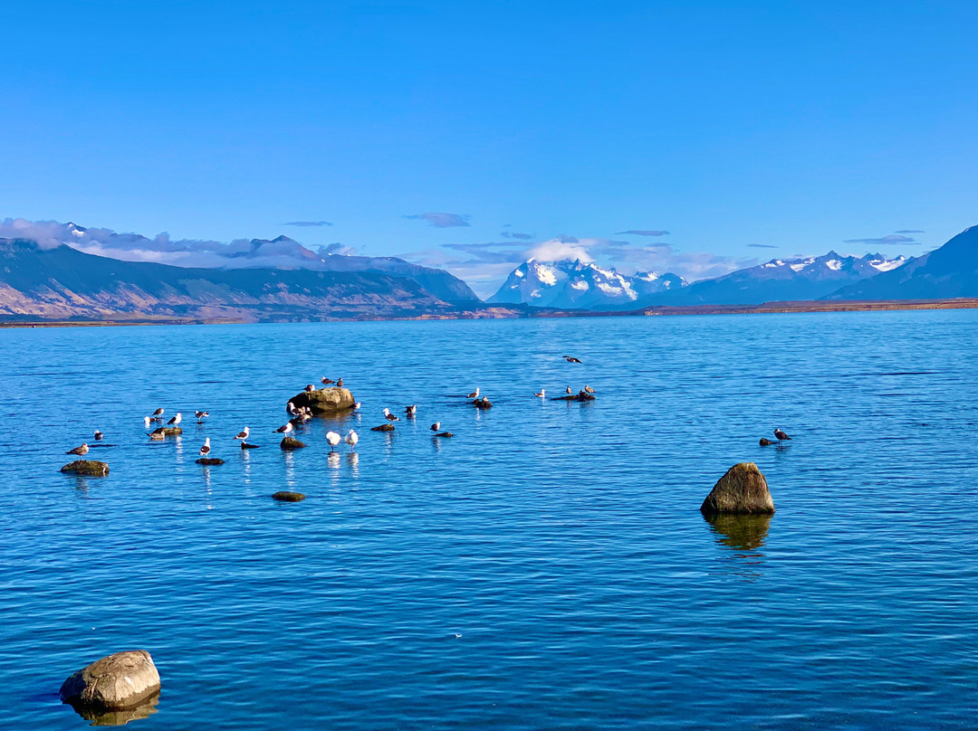 Monumento de la Mano-纳塔莱斯港必去景点