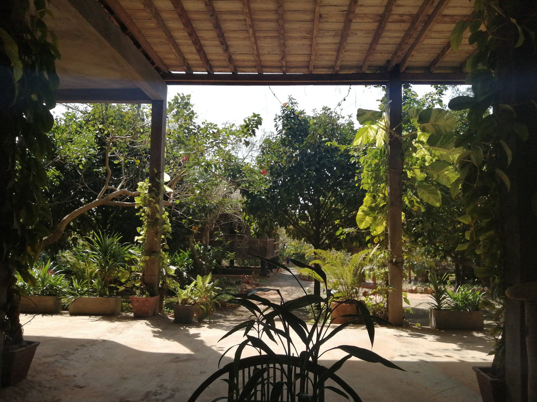 Vagabond Temple-白马必去景点