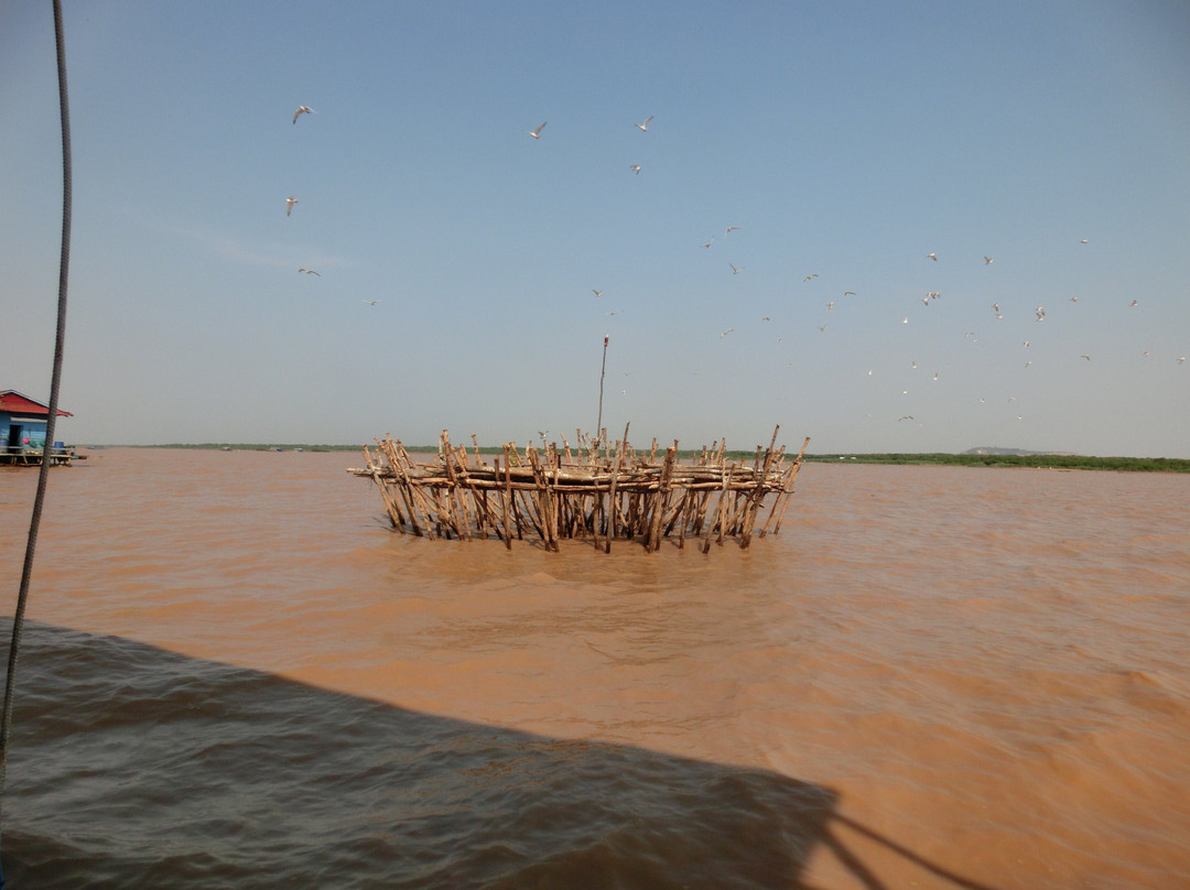 Tonle Sap Cruise景点图片