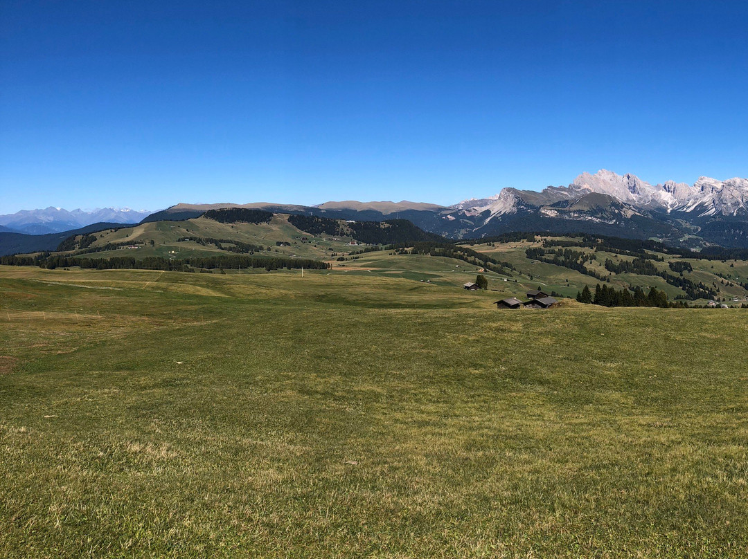 Seiser Alm - Alpe di Siusi景点图片