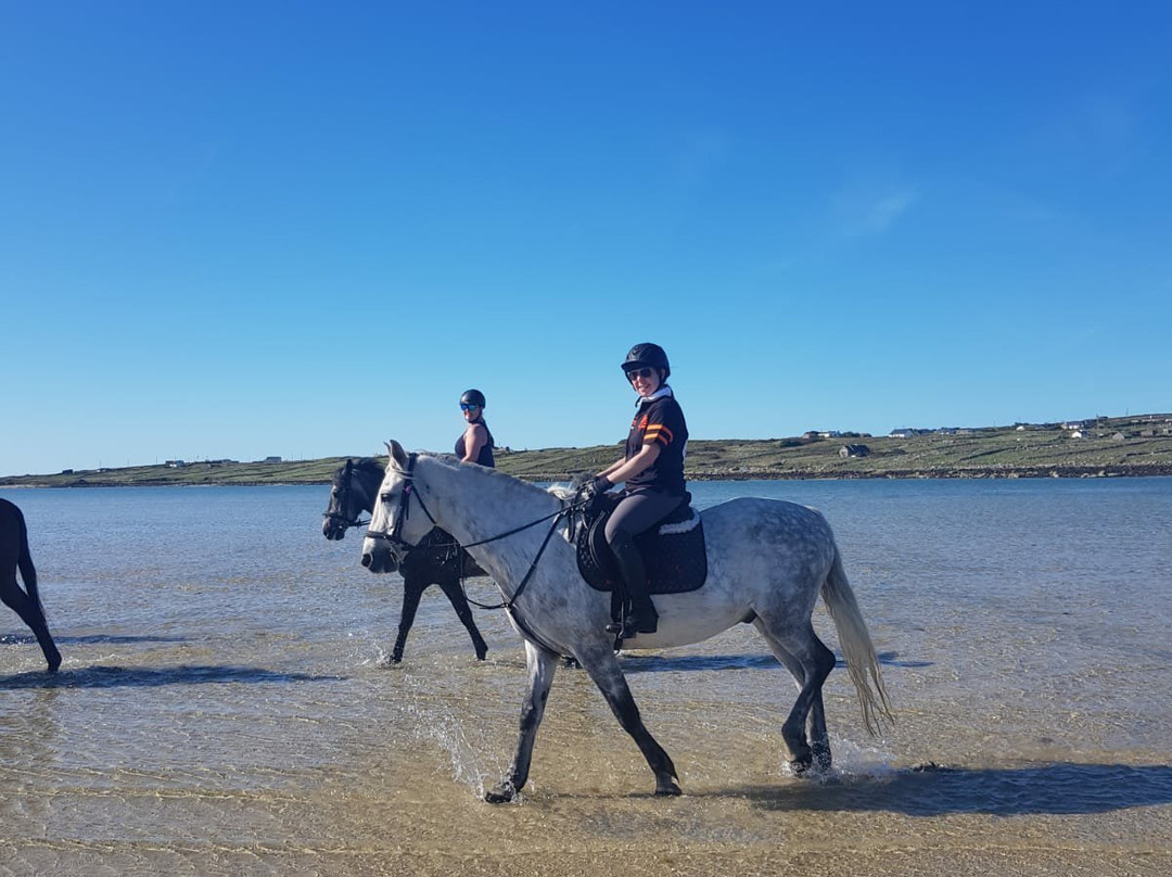Connemara Equestrian Escapes景点图片