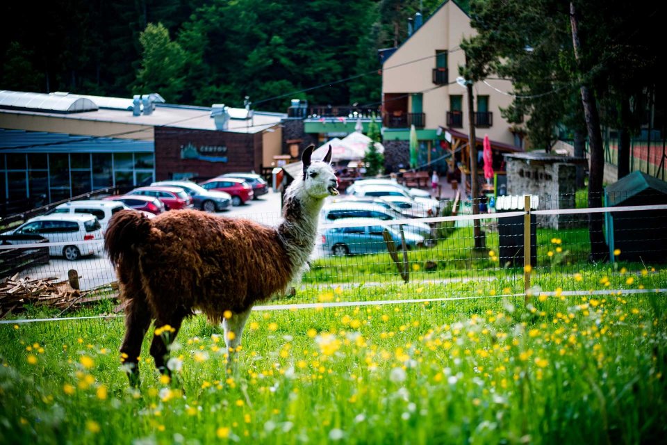 Wellness & Spa Hotel Certov-官方