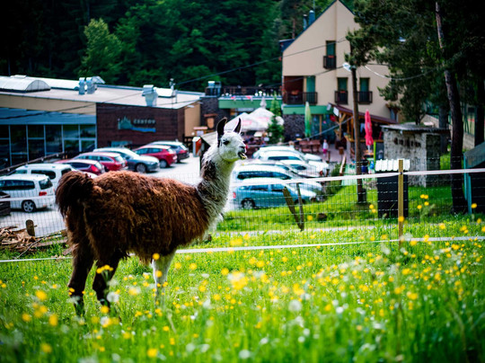 Wellness & Spa Hotel Certov主图