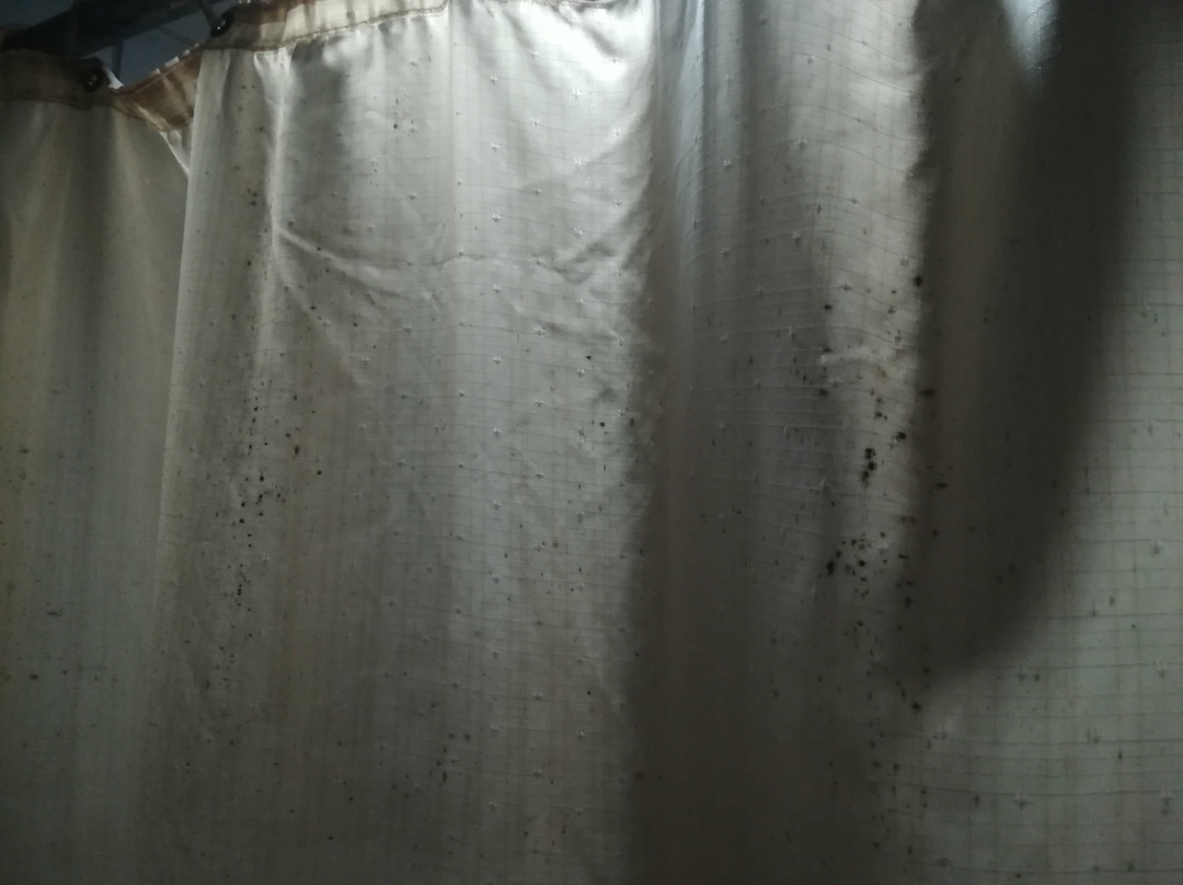 西巴雅克国际酒店主图