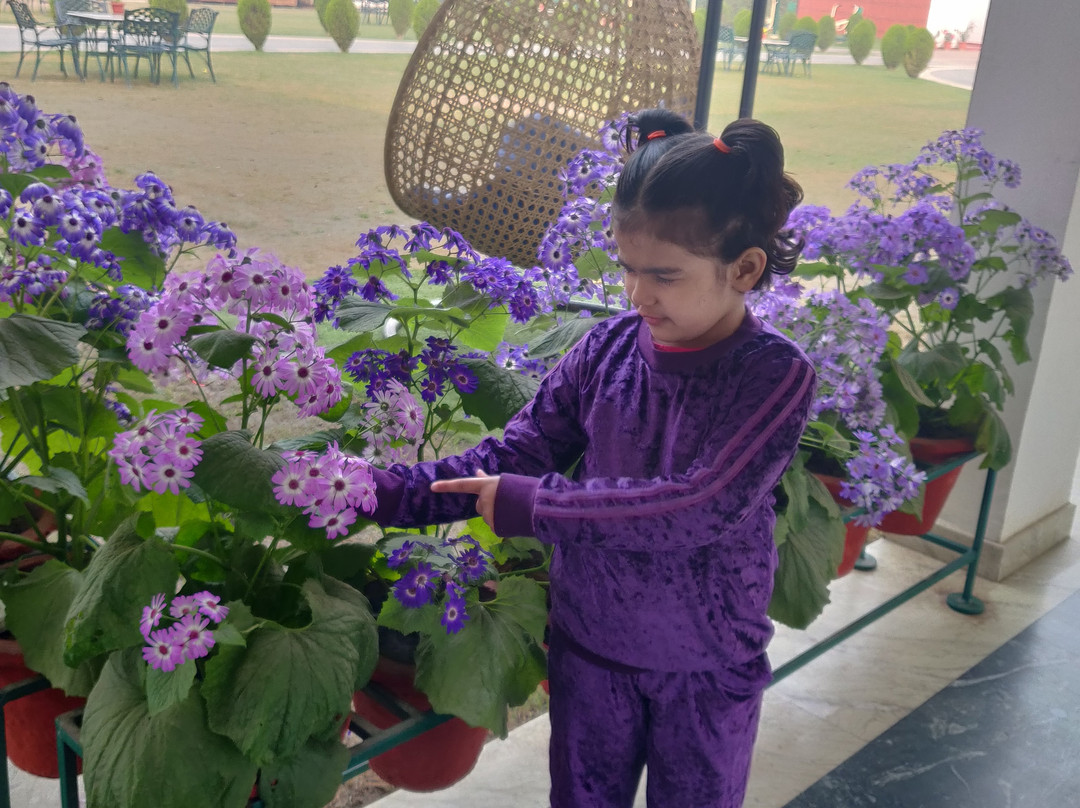 Aapno Ghar Resort主图