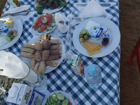 El Forsan Hotel主图