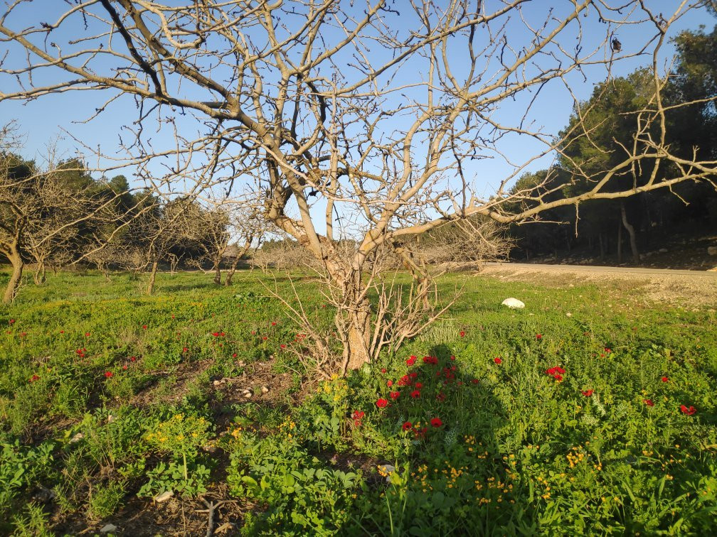 Joe Alon Center-Lahav必去景点