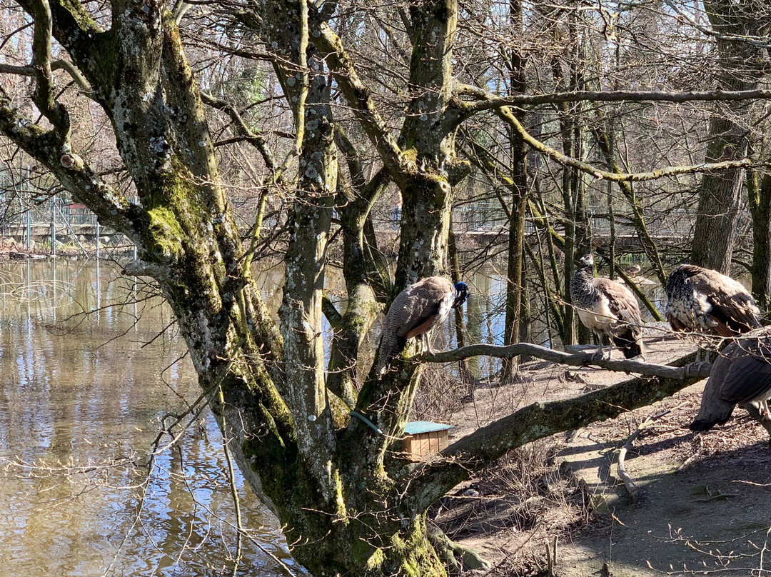 Parc aux animaux du Bois de la Bâtie-日内瓦必去景点