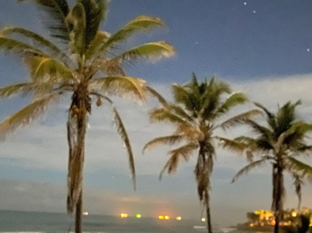 Villa da Praia主图