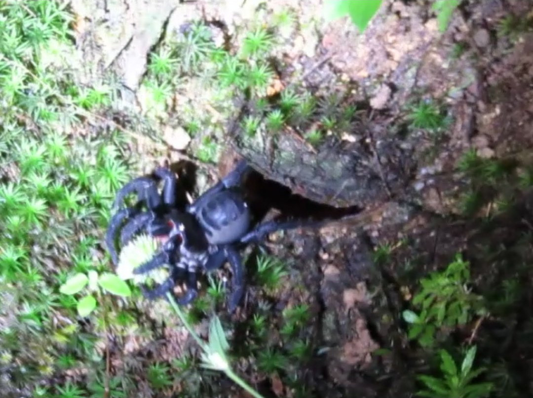 Stephen's Place B&B主图