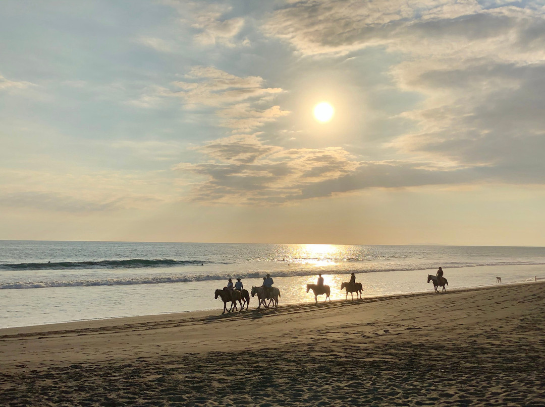 Hotel Sandpiper主图