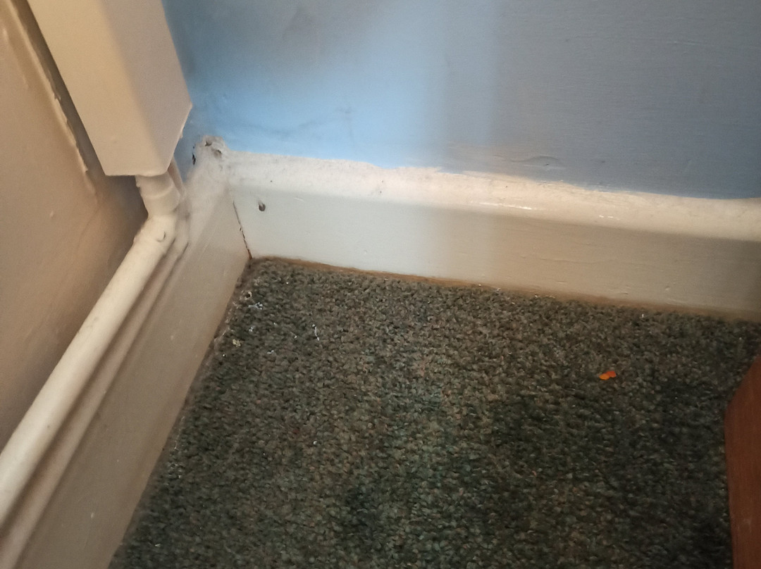 Hazelwood House主图