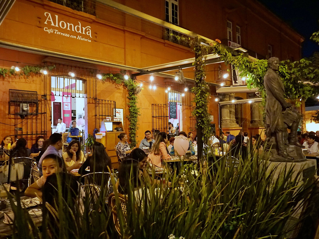 Café Alondra Sucursal Centro