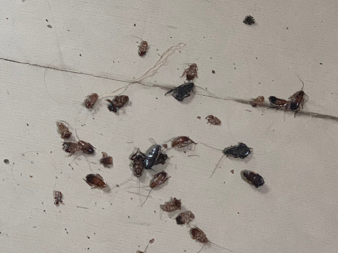 A Place To Be Retreat主图