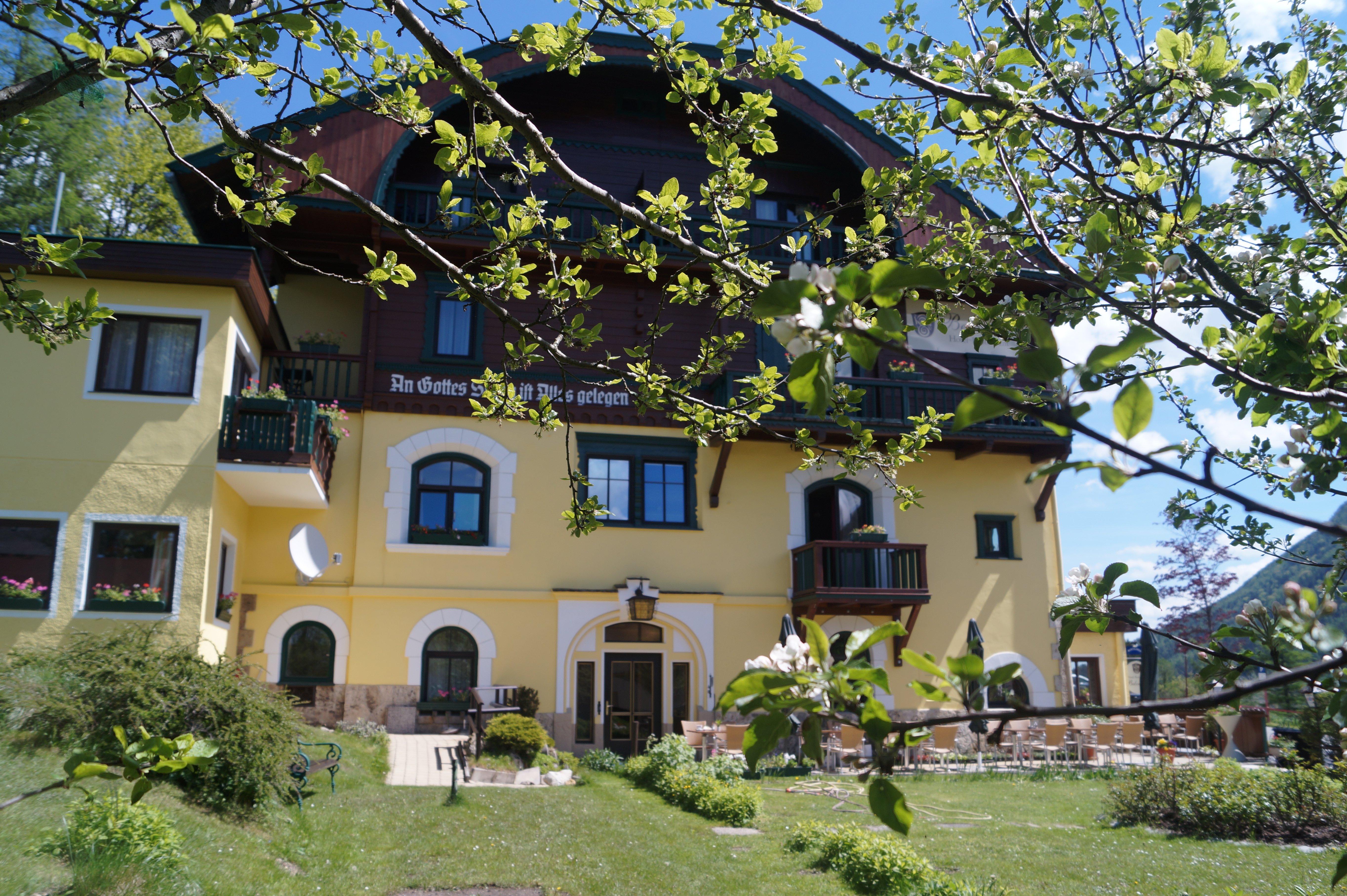 Hotel Belvedere-官方