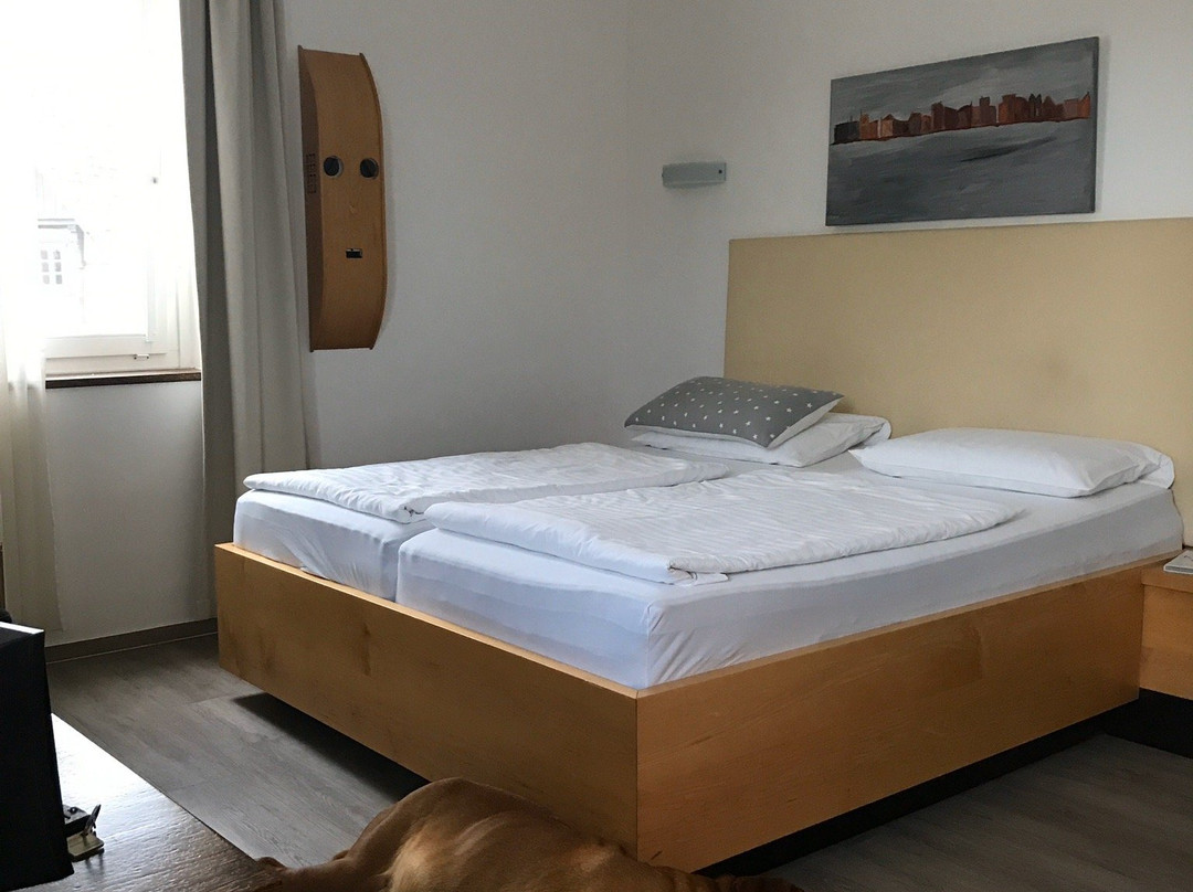 泽尔瓦特博格酒店主图