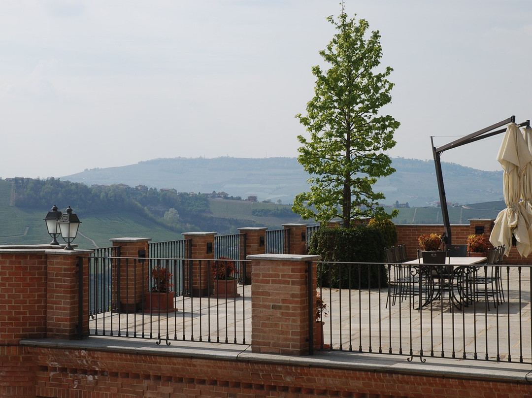 Massolino Winery景点图片