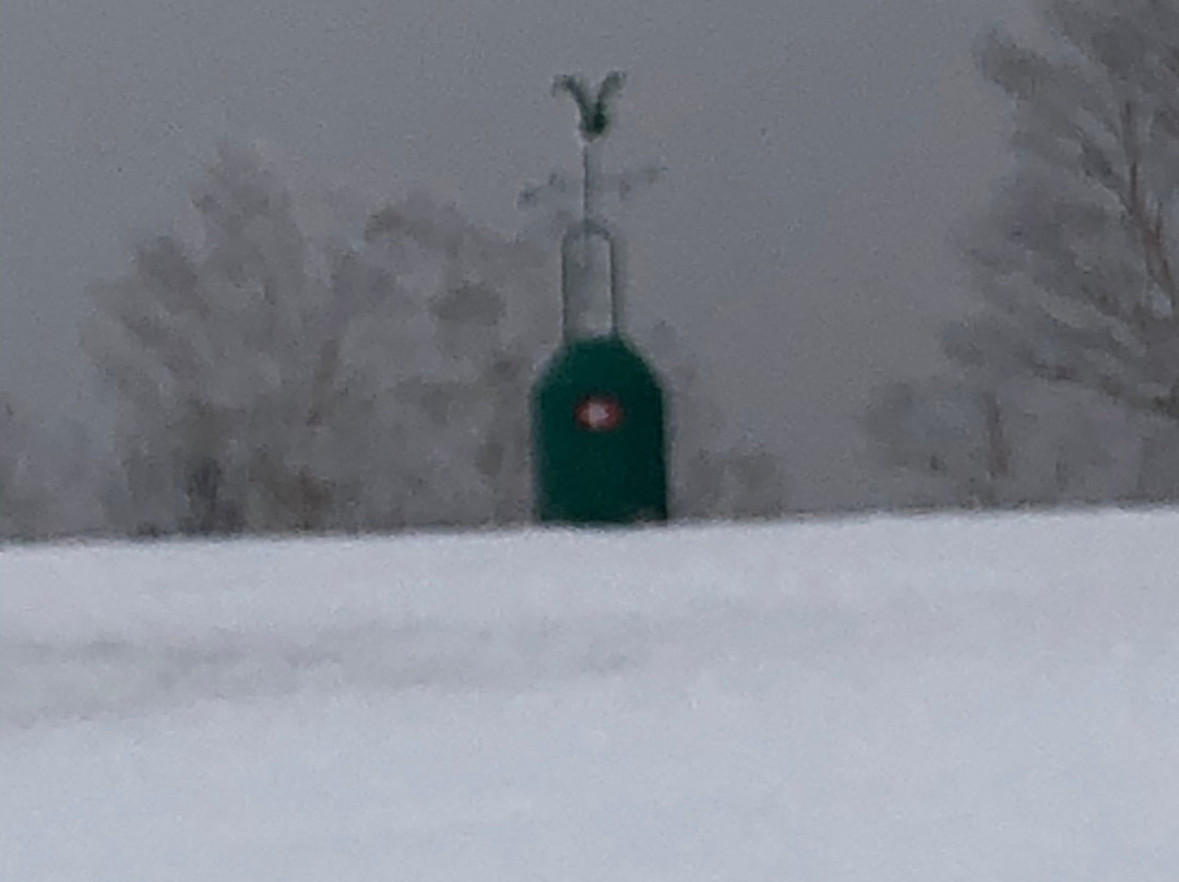 Sugadaira Kogen Ski Area-上田市必去景点