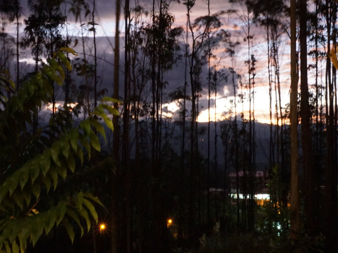 La Ensenada Hotel Chachapoyas主图