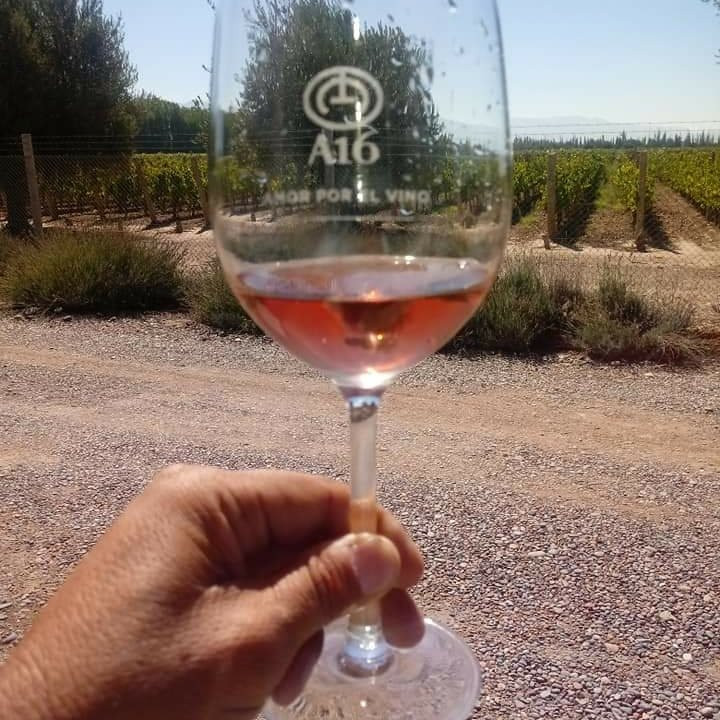 Bodega A16 Winery景点图片