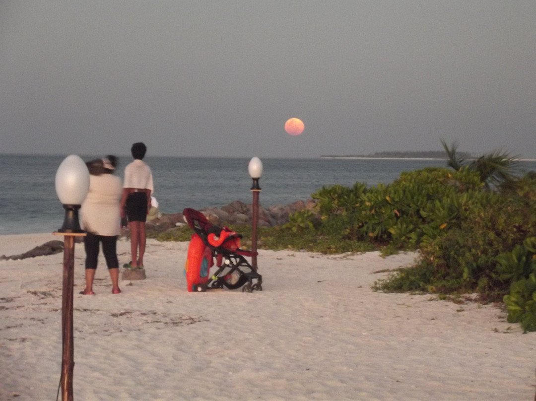 Bangaram Island, Lakshadweep - IHCL SeleQtions主图