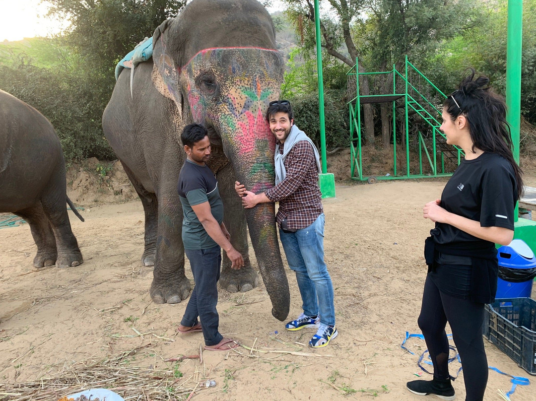 My Elephant Trip景点图片