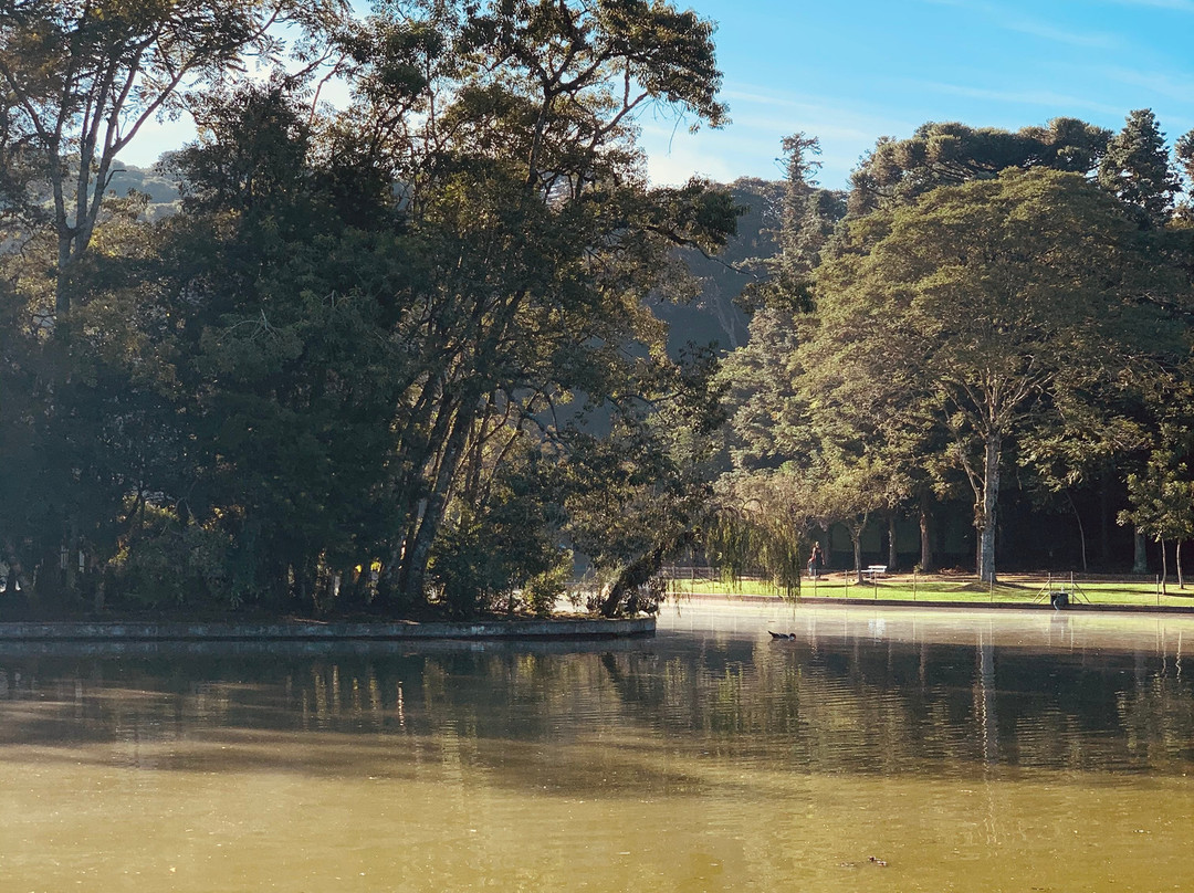 Parque dos Pinheiros景点图片
