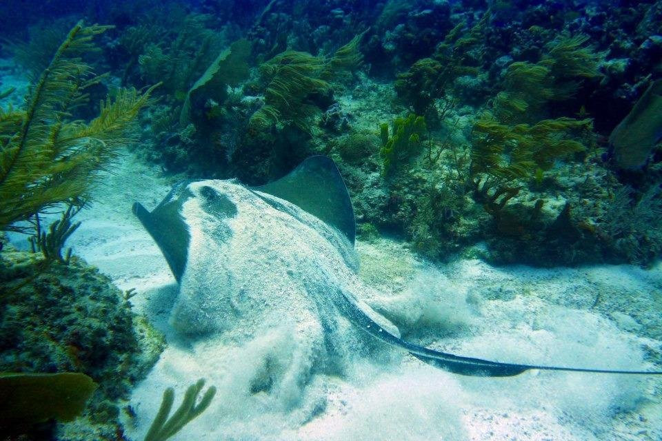 Sun & Sea Mexico-从莫雷洛斯港必去景点