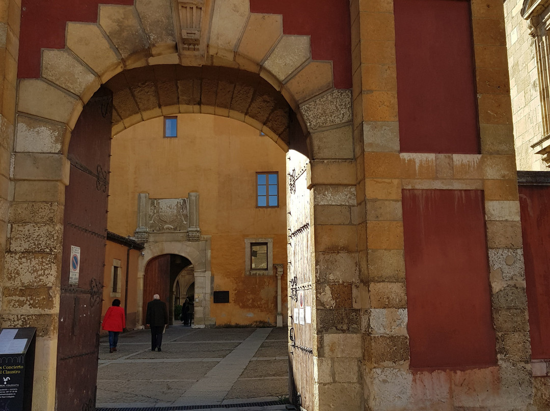 Hotel Real Colegiata de San Isidoro主图