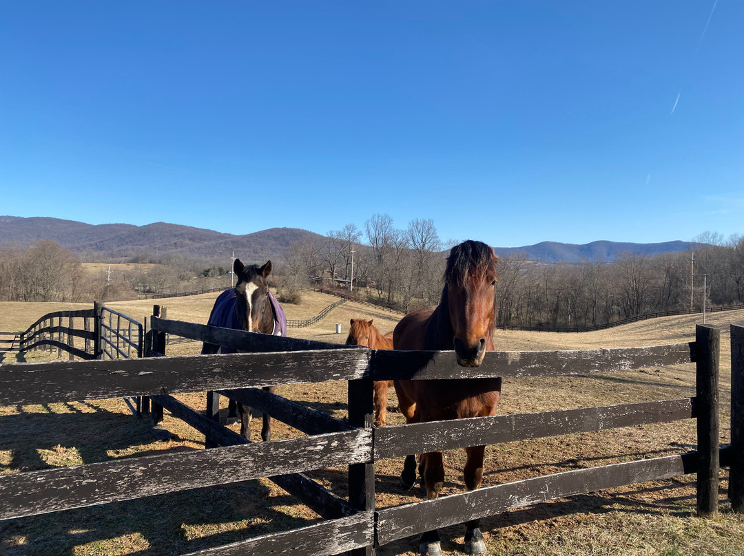 Glen Gordon Manor主图