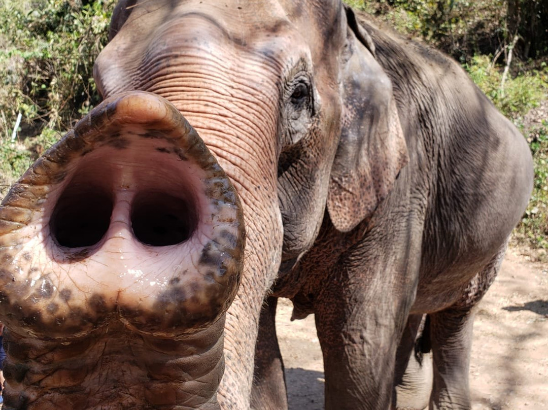 Epic Vacations-Riverton必去景点