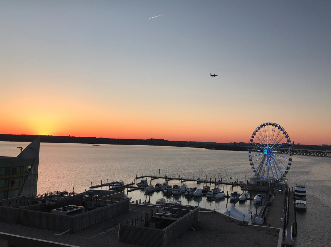 华盛顿国家港湾雅乐轩酒店主图