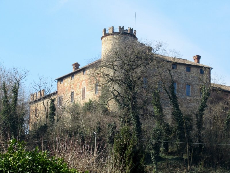 Castello di Castelnovo景点图片