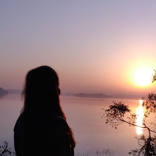 Thol Lake Bird Sanctuary景点图片