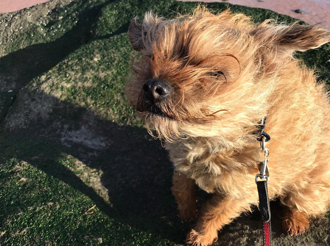Thurstaston Beach-Thurstaston必去景点