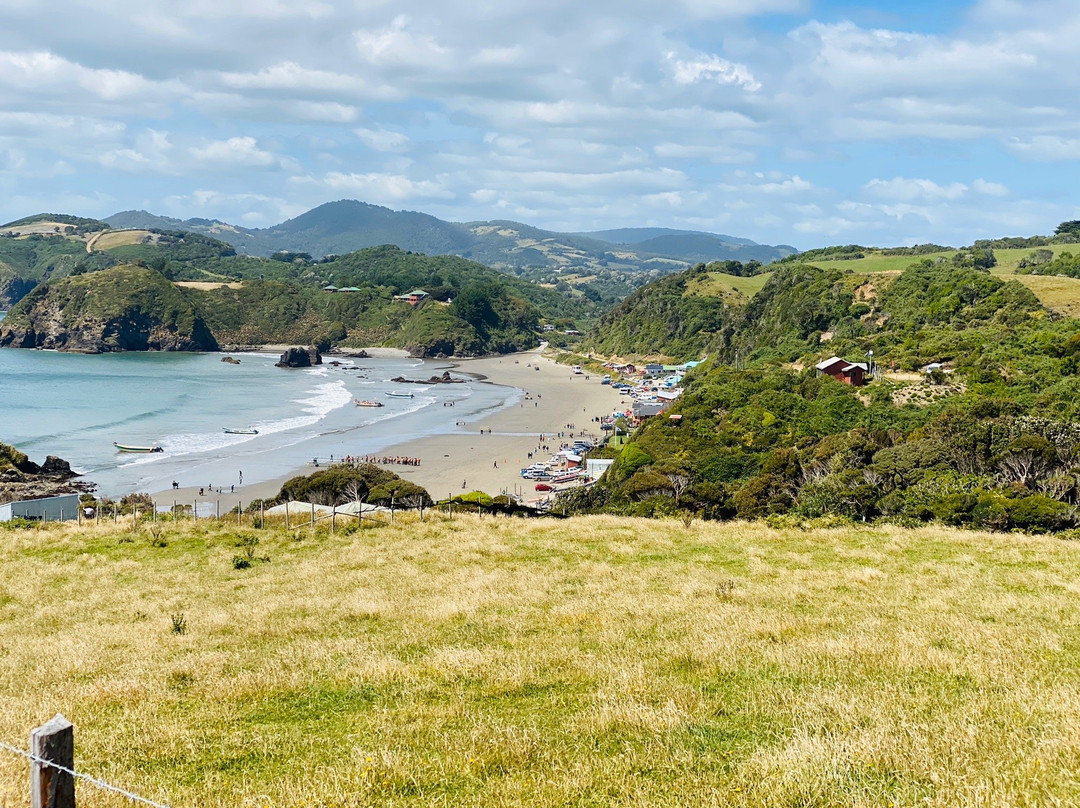 Pinguineras-Ancud必去景点