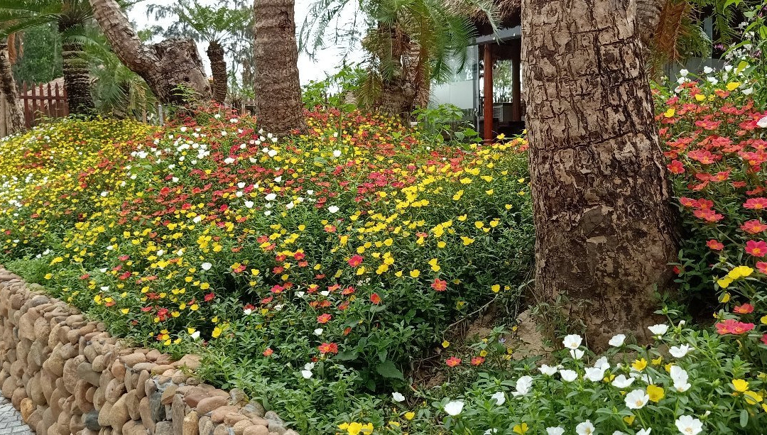 Ha Gia Ecolodge & Riverside主图