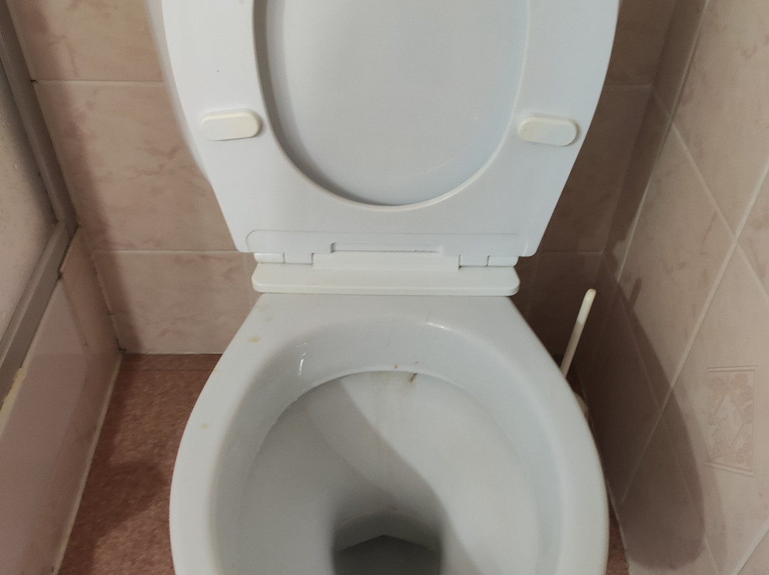 Hôtel de la Paix主图