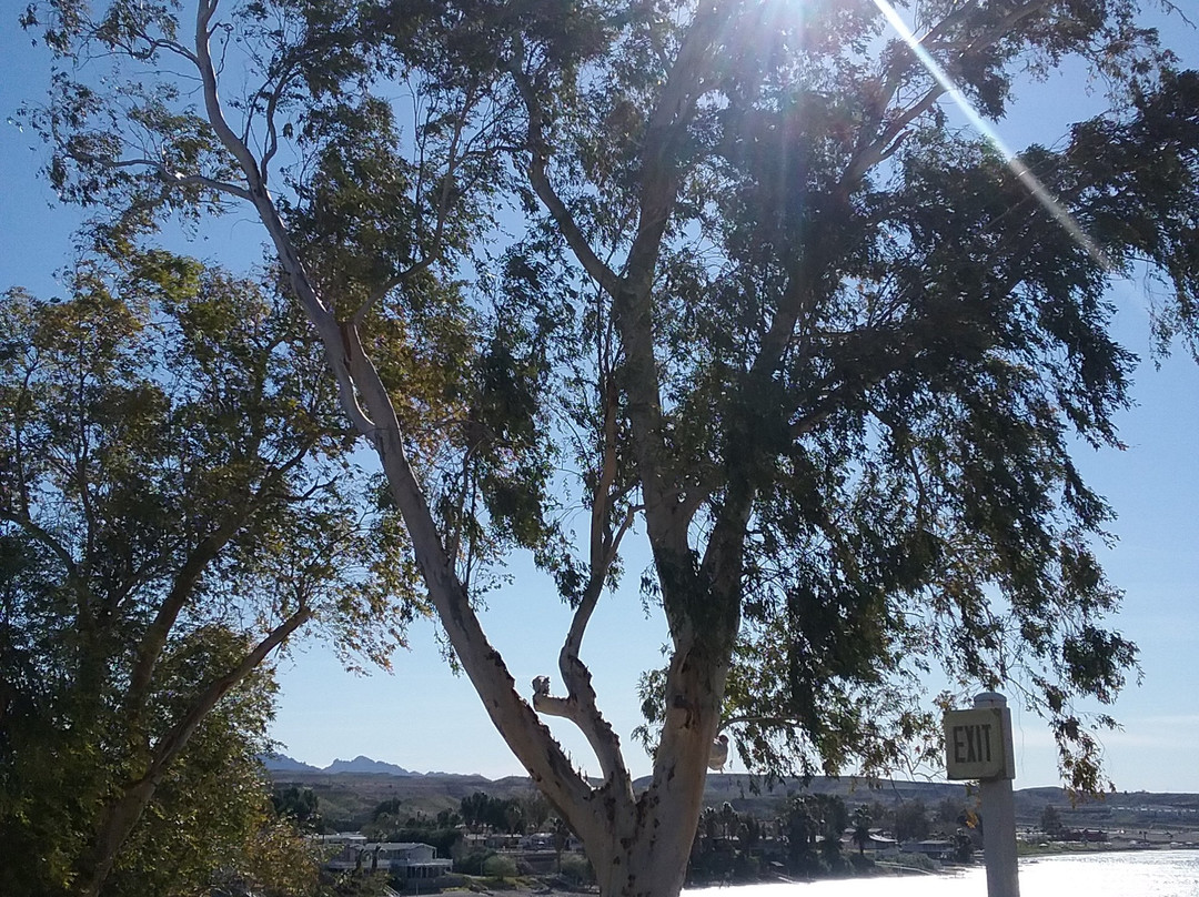 Riverwalk Trail-拉芙琳必去景点