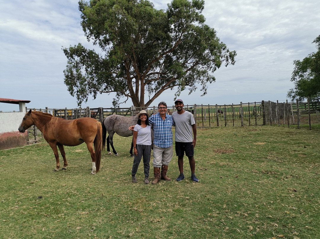 Estancia Hosteria El Ceibo主图