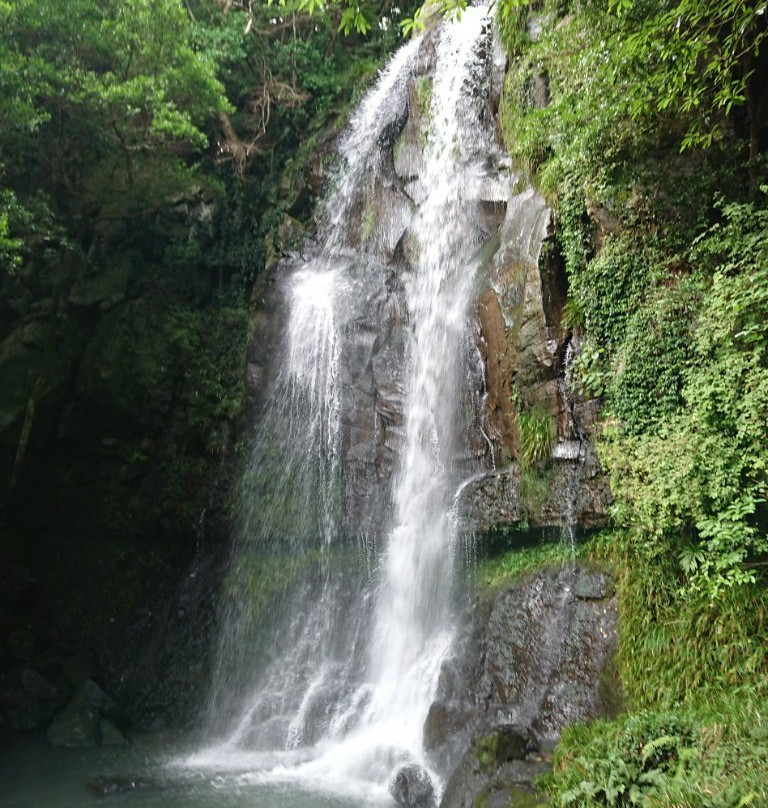 Senryugataki Park-佐世保市必去景点