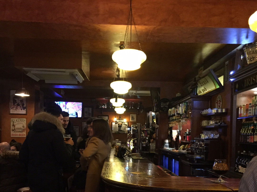 Irish Pub Celtic Druid-博洛尼亚必去景点