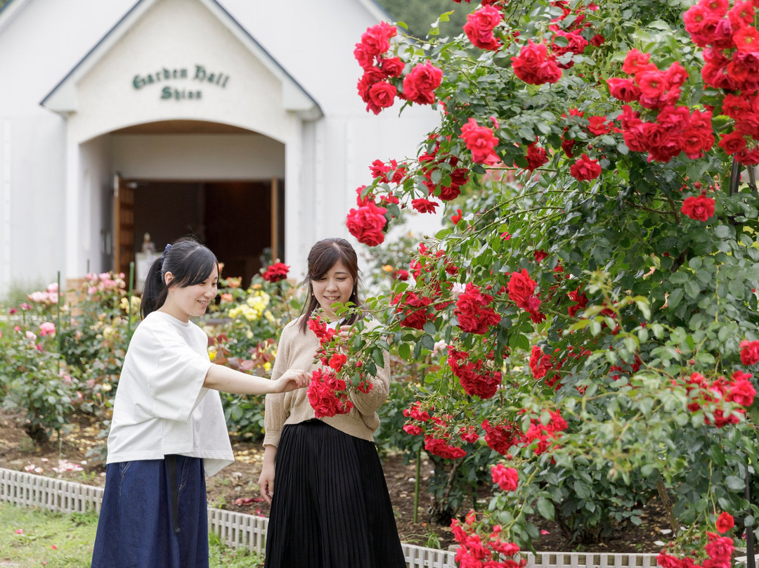 Hotel Shion主图